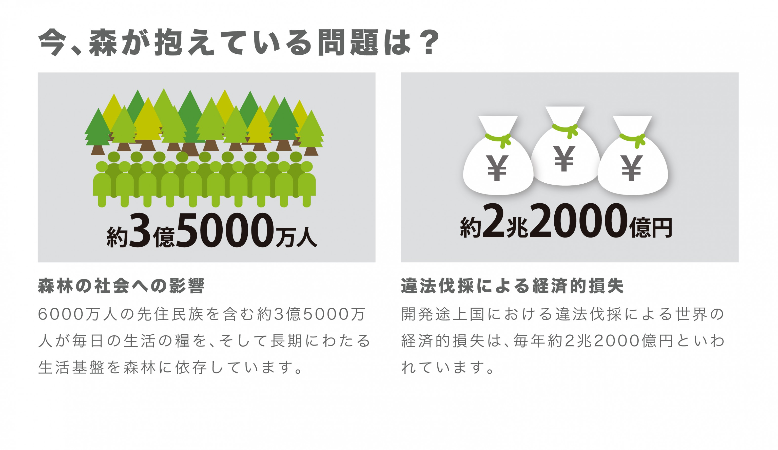 今、森林が抱えている問題は？