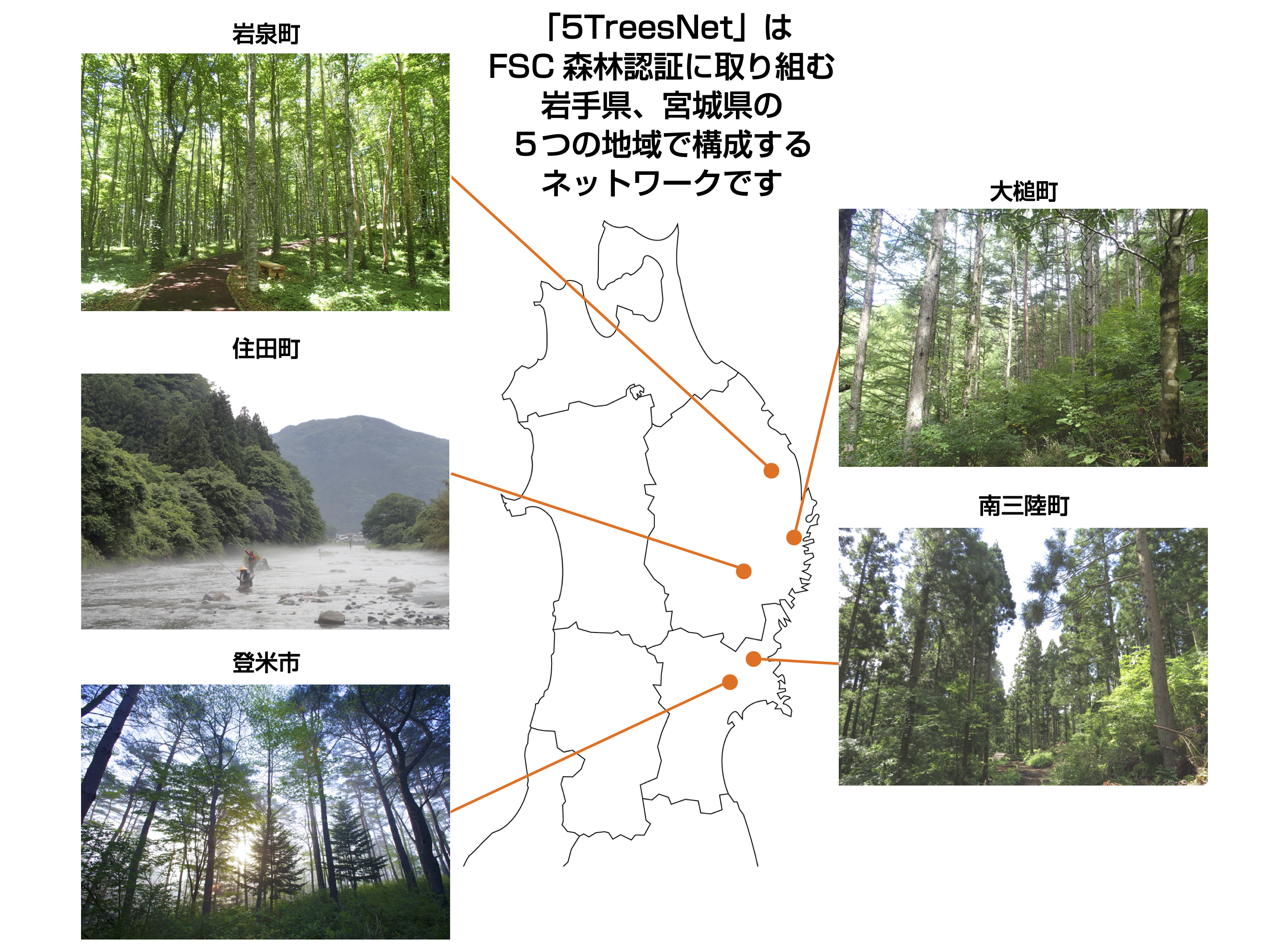５TN画像