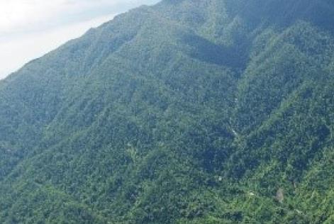 Jamaica2
