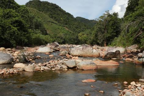 Vietnam_community forests