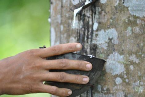 Natural Rubber