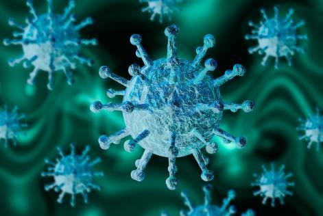 Virus