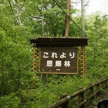 山梨県