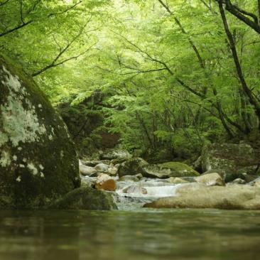 山梨県