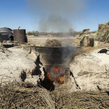 candelilla wax processing
