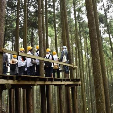FSCジャパン 橘学苑デザイン美術コースの森林学習に参加